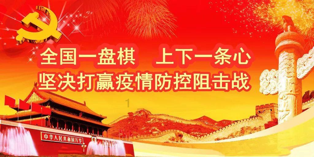御龙在天