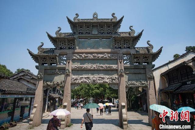 探秘猫爪上有没有细菌?,解答你的疑问